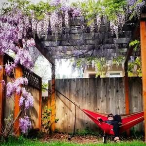 Meet your Posher, Andi